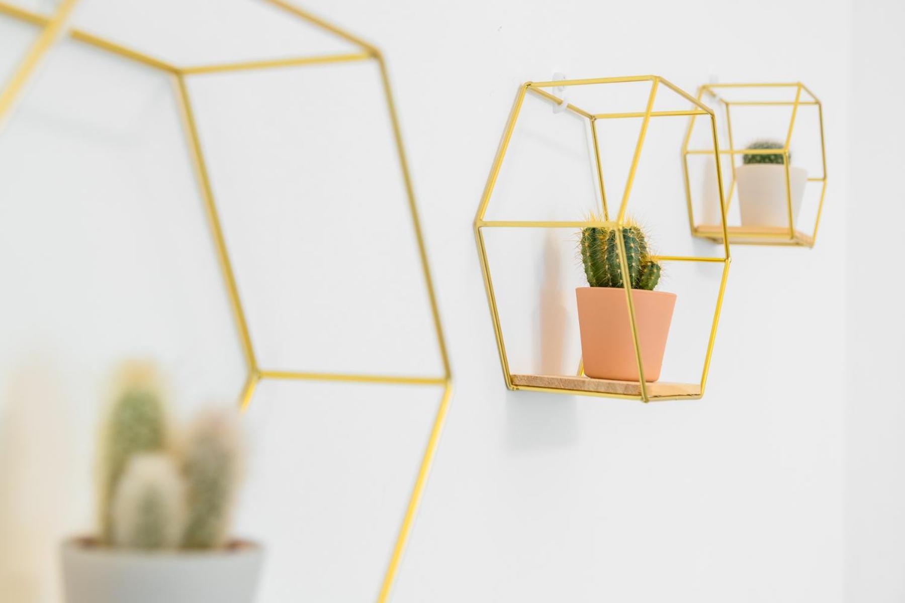 شقة Loft Salgari تورينو المظهر الخارجي الصورة